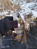 IMG_20250221_174957.jpg