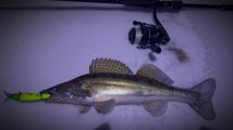 IMG_20250221_210533.jpg