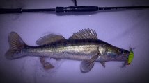 IMG_20250221_210429.jpg
