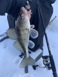 IMG_2031.jpeg