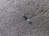 IMG_20250222_120114.jpg