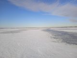 IMG_20250222_150505.jpg