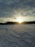 IMG_20250222_164531.jpg