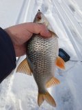 IMG_20250222_115737.jpg