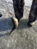 IMG_8345.jpeg