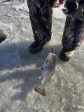 IMG_8346.jpeg