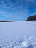 IMG_20250222_104300.jpg