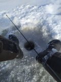 IMG_20250222_104323.jpg