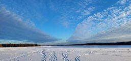 IMG-20250223-WA0022.jpg