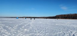 IMG-20250223-WA0026.jpg