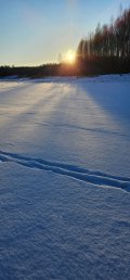 IMG-20250223-WA0037.jpg