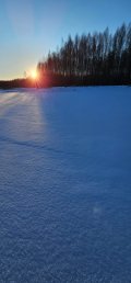 IMG-20250223-WA0038.jpg