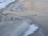 IMG_3836.jpeg