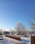 Изображение хрюхрюp 2025-02-24 в 09.33.07_2e1b4435.jpg