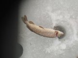 IMG_20241221_105833.jpg