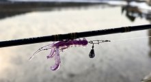 IMG_3698.jpeg