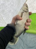 IMG_8052.jpeg