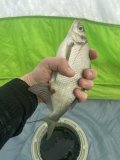 IMG_8070.jpeg