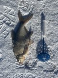 IMG_1852.jpeg