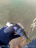 IMG_20250228_125035.jpg