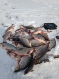 IMG_20250301_130624_1.jpg