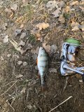 IMG_5869.jpeg