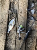 IMG_5870.jpeg