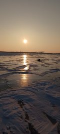 IMG_20250301_072325.jpg
