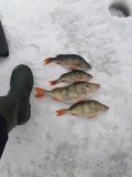 IMG_20250301_165103.jpg