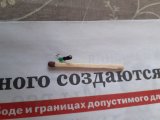 20250228_140038.jpg