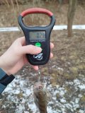 Изображение хрюхрюp 2025-03-02 в 16.33.53_1468d3a1.jpg