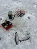 IMG_8520.jpeg
