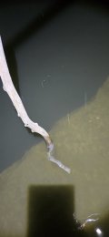 20250302_054031.jpg
