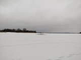 IMG_20250302_122028.jpg