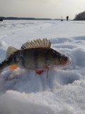 IMG_20250301_100707.jpg