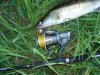 DSC04531_1.jpg