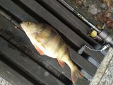 IMG_20250306_111626.jpg