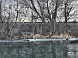 IMG_20250307_210159.jpg