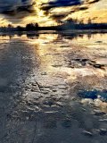 IMG_20250307_210128.jpg