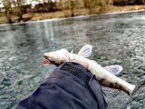 IMG_20250307_203848.jpg