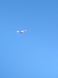 IMG_20250308_100448.jpg