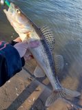 IMG_20250308_132815.jpg