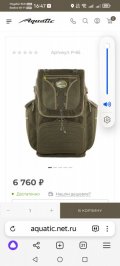 Screenshot_20250306_164723_com.yandex.browser.jpg