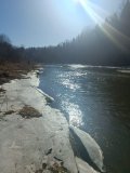 IMG-20250308-WA0008.jpg