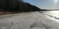 IMG_20250308_153801.jpg