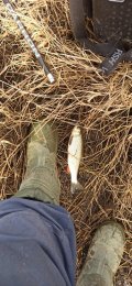 IMG_20250307_095709.jpg