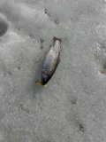 IMG_8580.jpeg