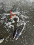 IMG_8578.jpeg