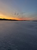 IMG_2549.jpeg
