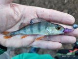 IMG_20250309_110127.jpg
